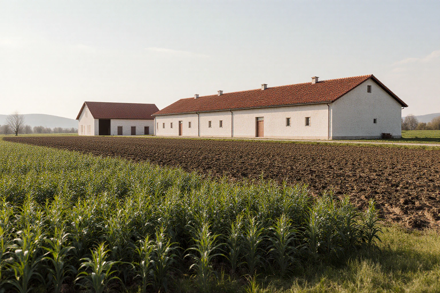 Farm buildings beside cultivated fields in a Romanian agricultural landscape